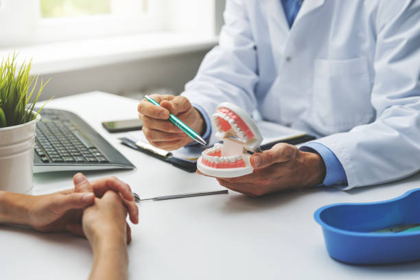 Professional Holistic Dental Care Services in Rocky Mount, NC