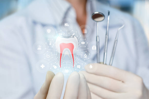 Best Preventive Dentistry  in Rocky Mount, NC